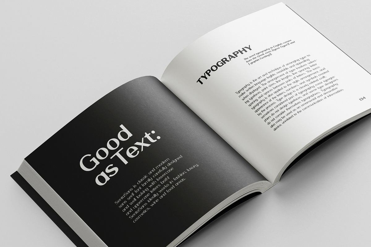 SentaSans Variable, a Sans Serif Font by Sentavio (Photo 7 of 8)