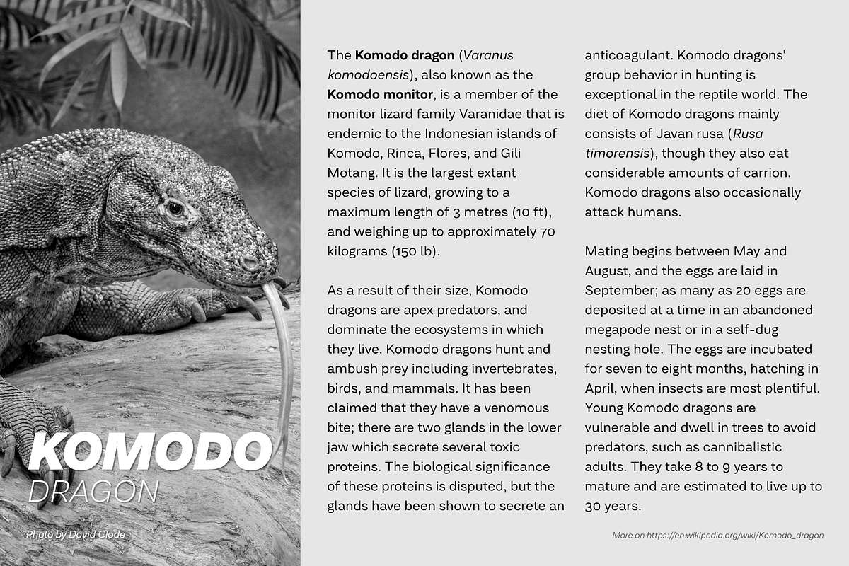Malnor Sans Font Family, a Sans Serif Font by Sikifonts (Photo 8 of 11)