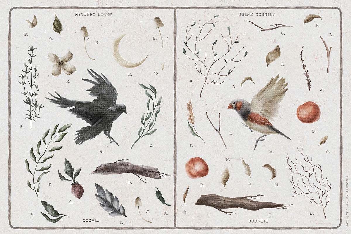 Stranger Forest Collection, an Animal Illustration by Julia Dreams (Photo 4 of 12)