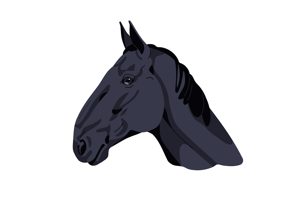 Horse heads set. Stallions breeds, an Animal Illustration by Good Studio (Photo 9 of 12)