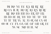 Aroney Family | 5 Style Fonts, a Serif Font by IM Studio (Thumbnail 9 of 12)