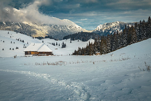 Winter landscape with snowy forest, a Nature Photo by Alpine Dreams