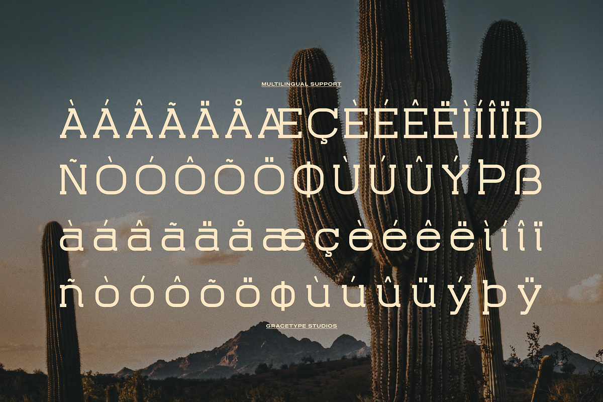 Rantona | Western Slab Serif, a Slab Serif Font by gracetype_studio (Photo 11 of 12)