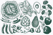 Vegetable Vector Collection, a Food Illustration by Lubov Illustrations Shop (Thumbnail 2 of 6)