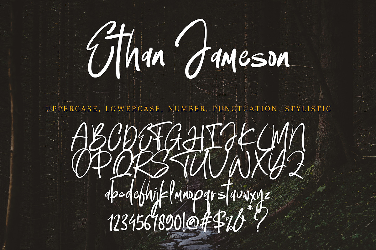 Ethan Jameson, a Handwritten Font by HaKi Studio (Photo 5 of 5)