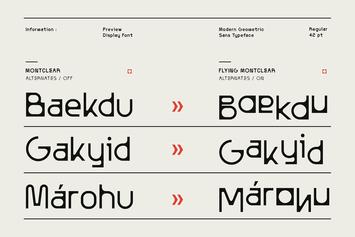 AT Montclear, a Sans Serif Font by Any-Type® Foundry (Photo 4 of 14)