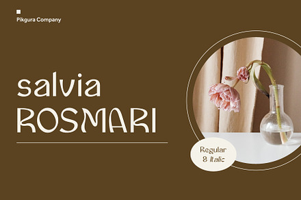 Salvia Rosmari, a Sans Serif Font by Pikgura