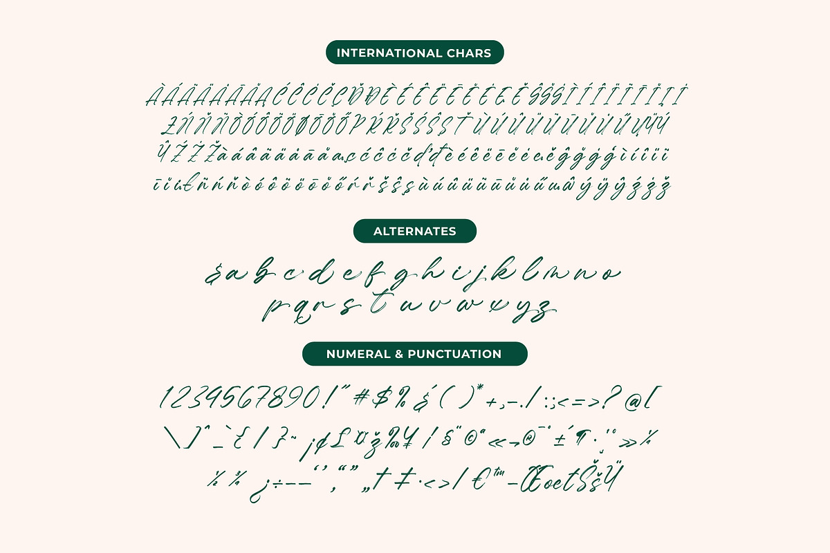 Hugetta Amphals Elegant Brush Font, a Script Font by Letterena Studios Script (Photo 13 of 15)