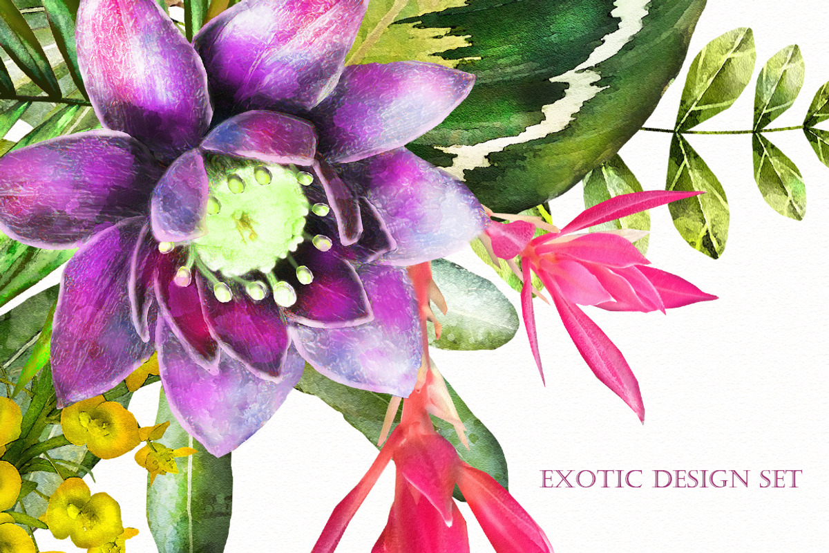 Tropical collection. Summer design., a Decorative Illustration by Lisima (Photo 19 of 19)