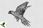 Realistic Drawing & Sketch Effect, an Action Add-On by MRI STUDIO (Thumbnail 18 of 27)