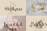 Elegante Serif & Sans Serif Bundle, a Sans Serif Font by Flawless And Co (Thumbnail 3 of 10)