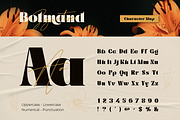 Bolmand Signature, a Serif Font by Burntilldead (Thumbnail 2 of 12)