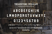 Treadstone - 8 Font Family, a Slab Serif Font by Greg Nicholls (Thumbnail 9 of 16)