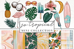 Tropical Clip Art & Digital Papers