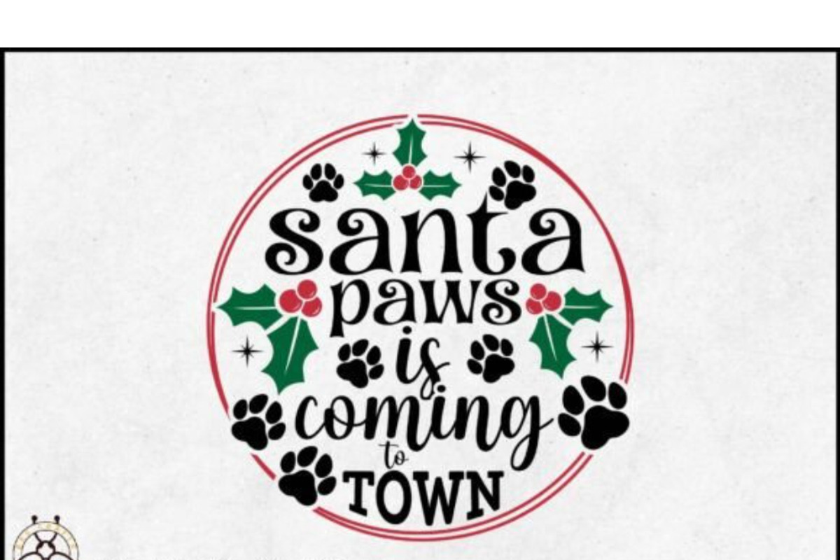Christmas Dog SVG Bundle Santa Paws, a Graphic by BeeCraftR (Photo 9 of 9)