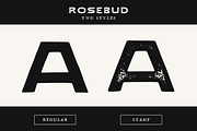 Rosebud - Vintage Letterpress Font, a Sans Serif Font by Graphicfresh (Thumbnail 5 of 8)