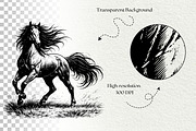 Wild Horse SVG Graphics Bundle, an Animal Illustration by DENIDigitalArtSudio (Thumbnail 8 of 8)