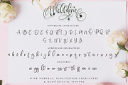 Welldone, a Script Font by Letterara (Thumbnail 11 of 11)