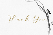 Hello Juliete calligraphy font, a Script Font by Pen Culture (Thumbnail 9 of 9)