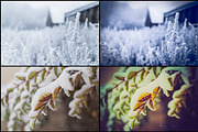 7000+ Professional Lightroom Presets, a Layer Style Add-On by Eldamar Studio (Thumbnail 27 of 33)