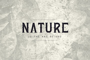 Young Rebel Font Duo -50%, a Sans Serif Font by VP Fonts (Thumbnail 3 of 12)