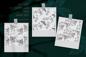 SKULLS, BUTTERFLIES AND ROSE HIP