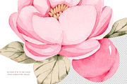 Watercolor Baby Princess Swan, an Animal Illustration by nathalieclaire (Thumbnail 3 of 14)