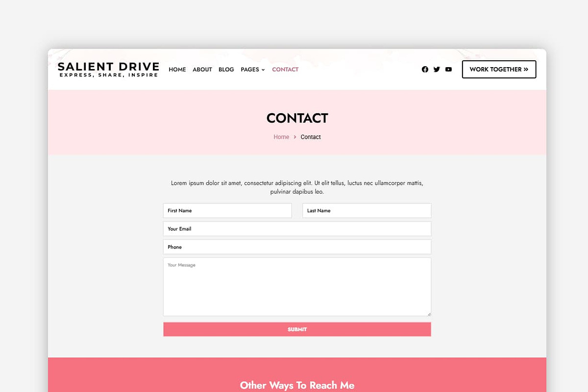 Salient Drive WordPress Theme preview 3