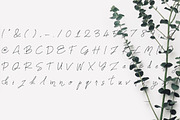Names Font, a Script Font by dxxb studio (Thumbnail 2 of 2)