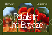 Nadaria - Creative Serif Font, a Serif Font by Vadovastd (Thumbnail 3 of 7)