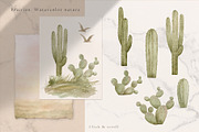 Prairies. American Animals & Nature, an Animal Illustration by Kreker Kate (Thumbnail 3 of 13)