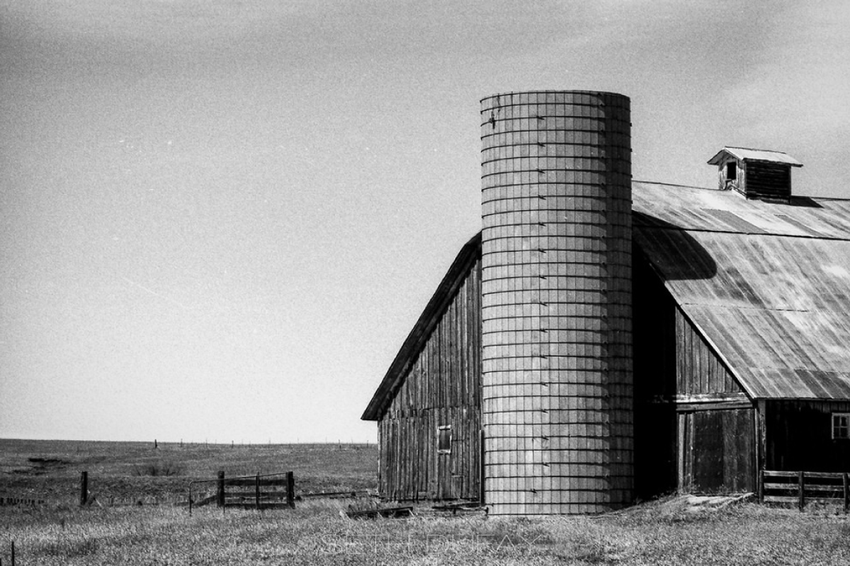 Ilford Delta BW Film-LR & Photoshop preview 7