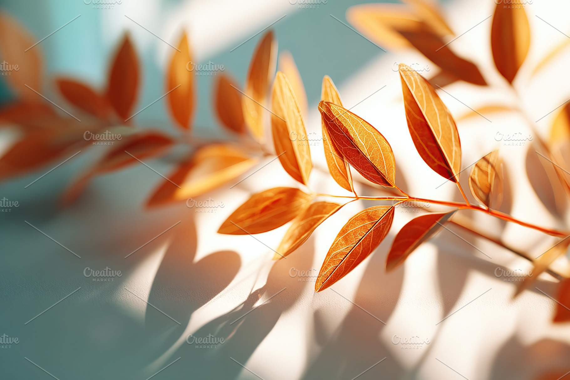 Vibrant orange leaves arranged artfully in soft sunlight showcasing autumn's be, a Photo by AlyaAnd