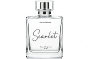 Bastian Signature | Script Font, a Handwritten Font by Scratchones (Thumbnail 2 of 8)