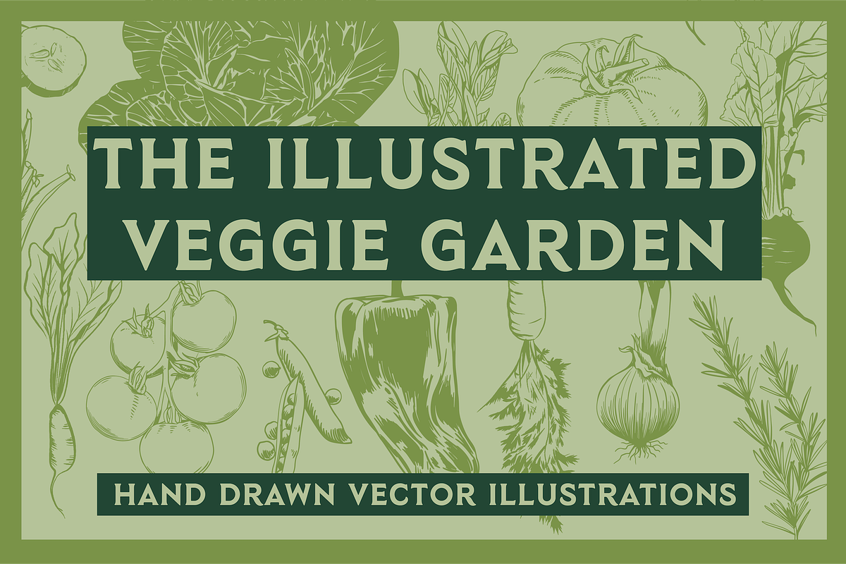 Illustrated Vector Vegetable Garden, a Food Illustration by Instinct Design Co (Photo 1 of 2)