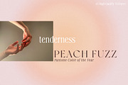 Peach Gradient Texture Backgrounds, a Texture Graphic by Oksana Trygub (Thumbnail 3 of 9)