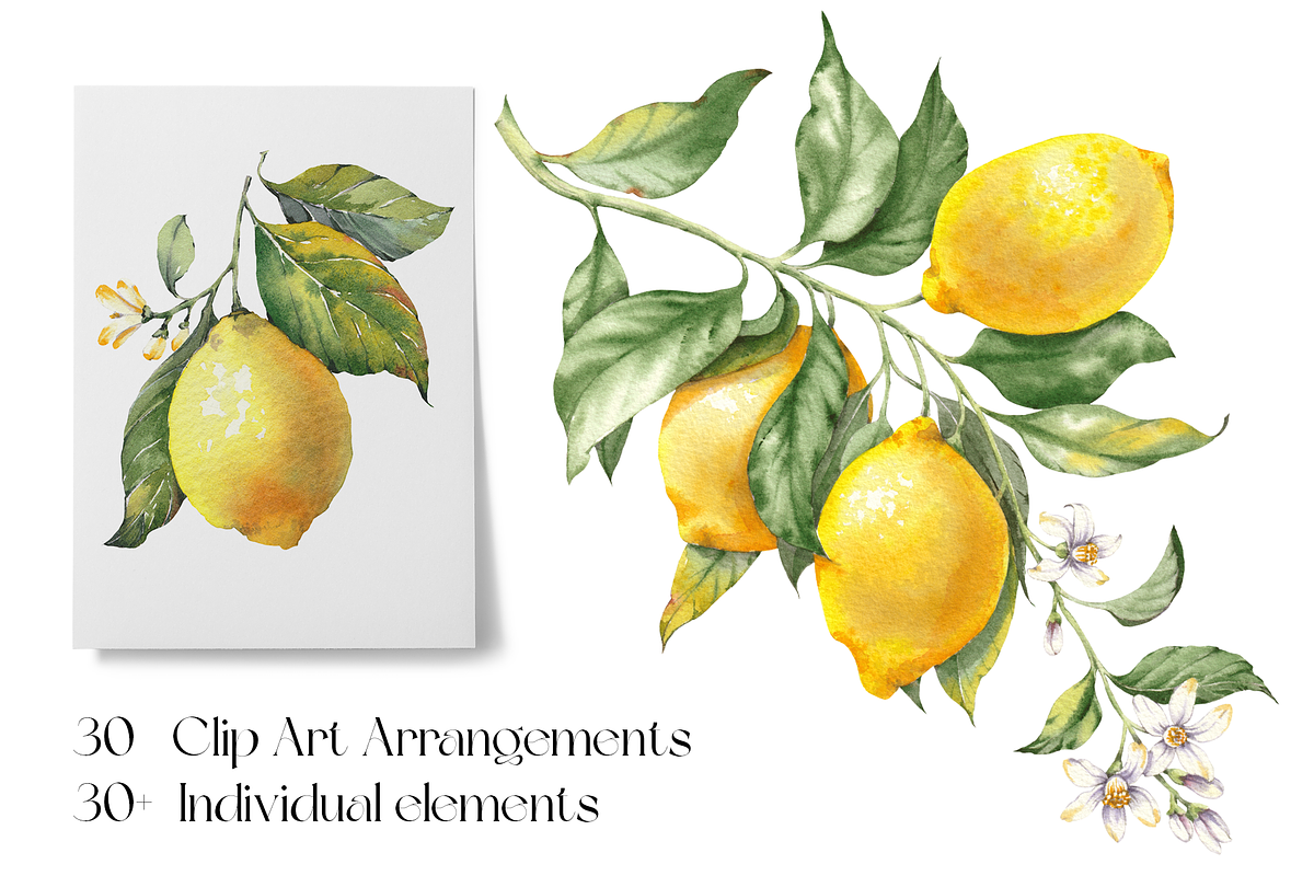 Lemon Garden Watercolor Cliparts, a Decorative Illustration by Jeanna Draw (Photo 2 of 11)