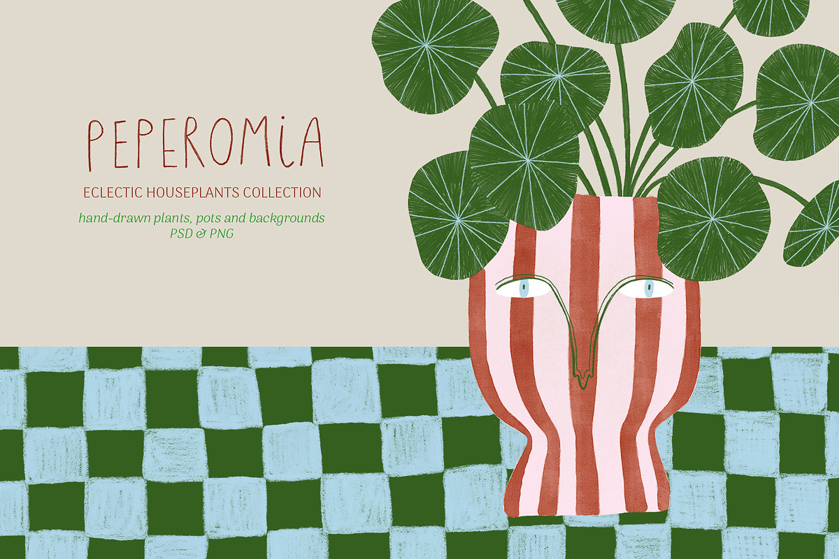 Peperomia - eclectic houseplants, an Illustration by Annakniaz (Photo 1 of 14)
