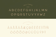 Classy Taylor Typeface, a Serif Font by CCS Type (Thumbnail 19 of 24)
