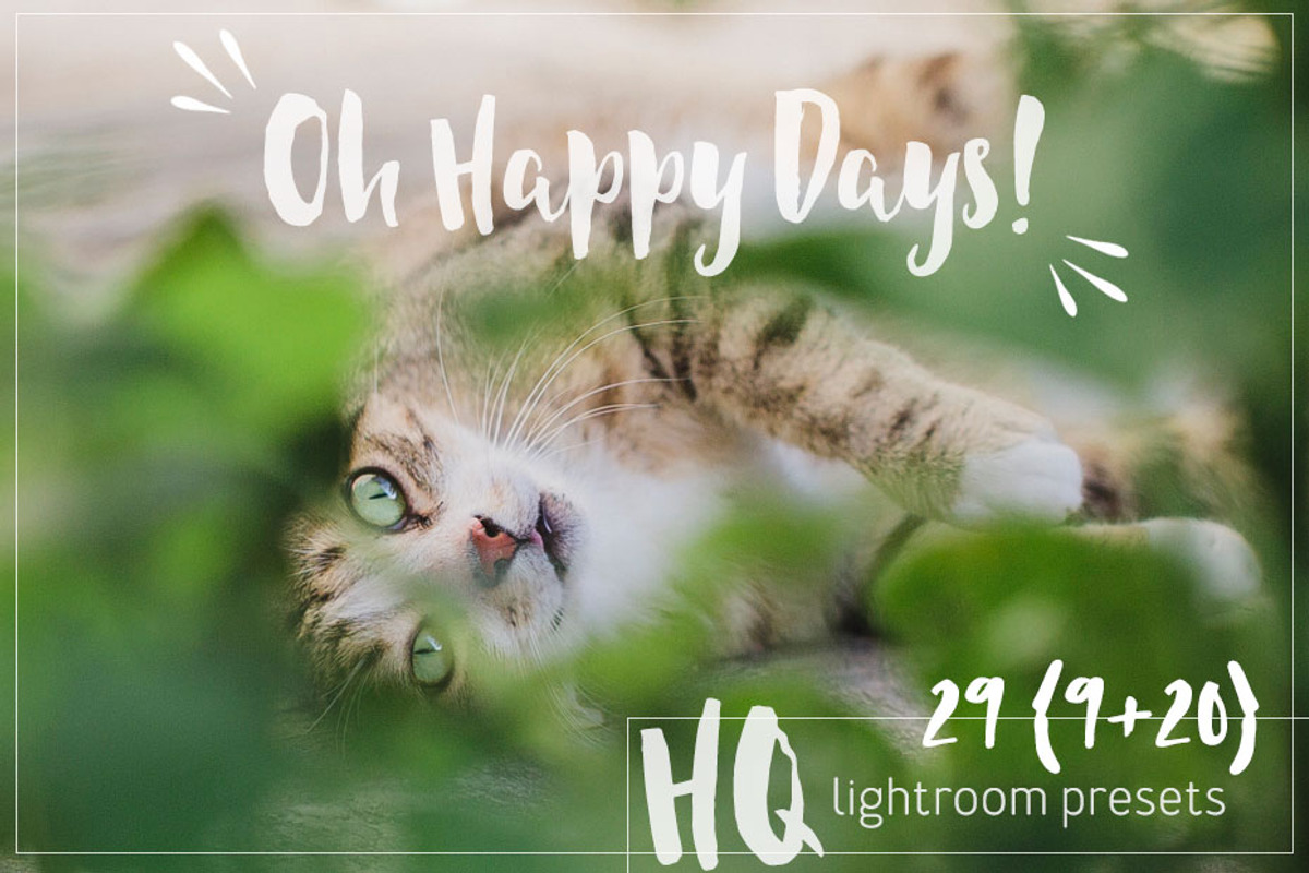 29 Lightroom Presets OH HAPPY DAYS!