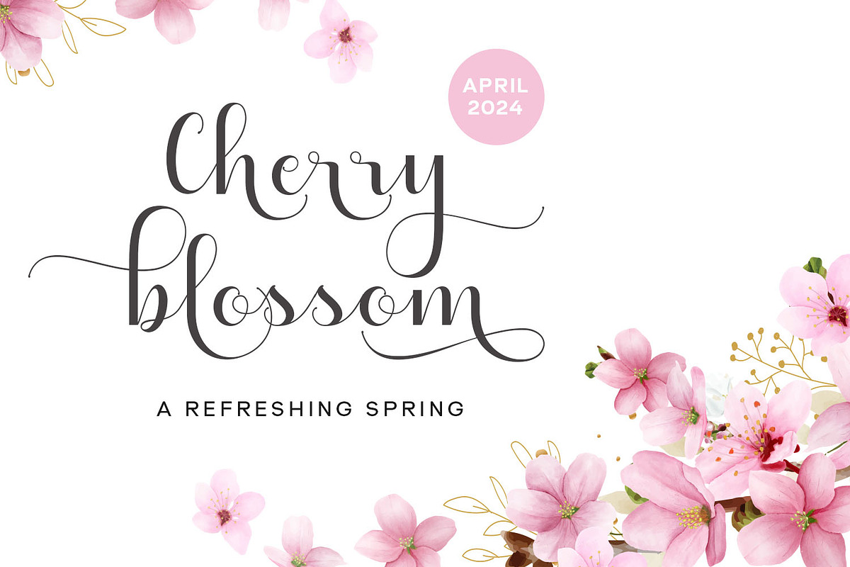 Heydan Script - a stylish fonts, a Script Font by Siwox Studios (Photo 4 of 8)