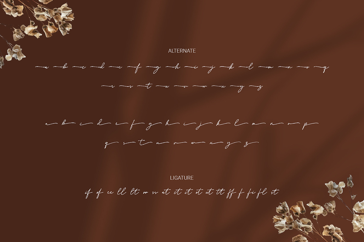 Delyra Script - Modern Signature, a Script Font by RHD Creative Studio (Photo 12 of 12)