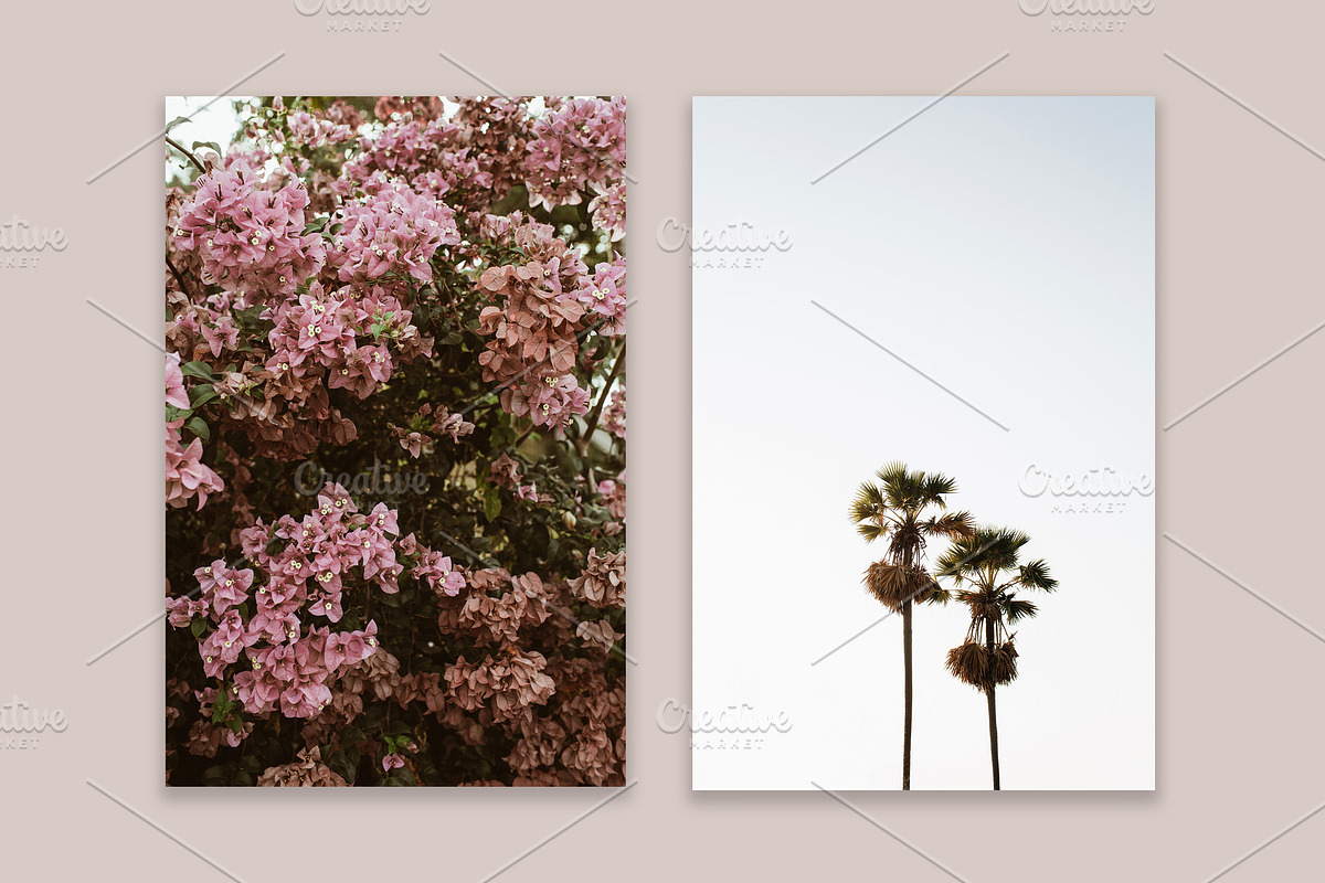 Lifestyle Bundles Collection 5, a Beauty & Fashion Photo by Floral Deco (Photo 27 of 65)