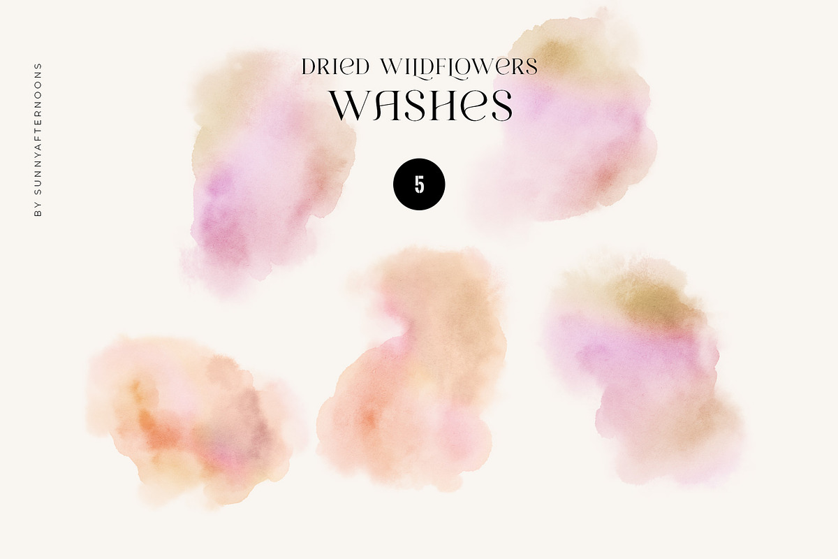 Dried Wildflowers - watercolor flora, an Illustration by SunnyAfternoons (Photo 14 of 15)