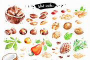 Nuts Watercolor Collection, an Object Graphic by Sonya Illustrations (Thumbnail 3 of 4)