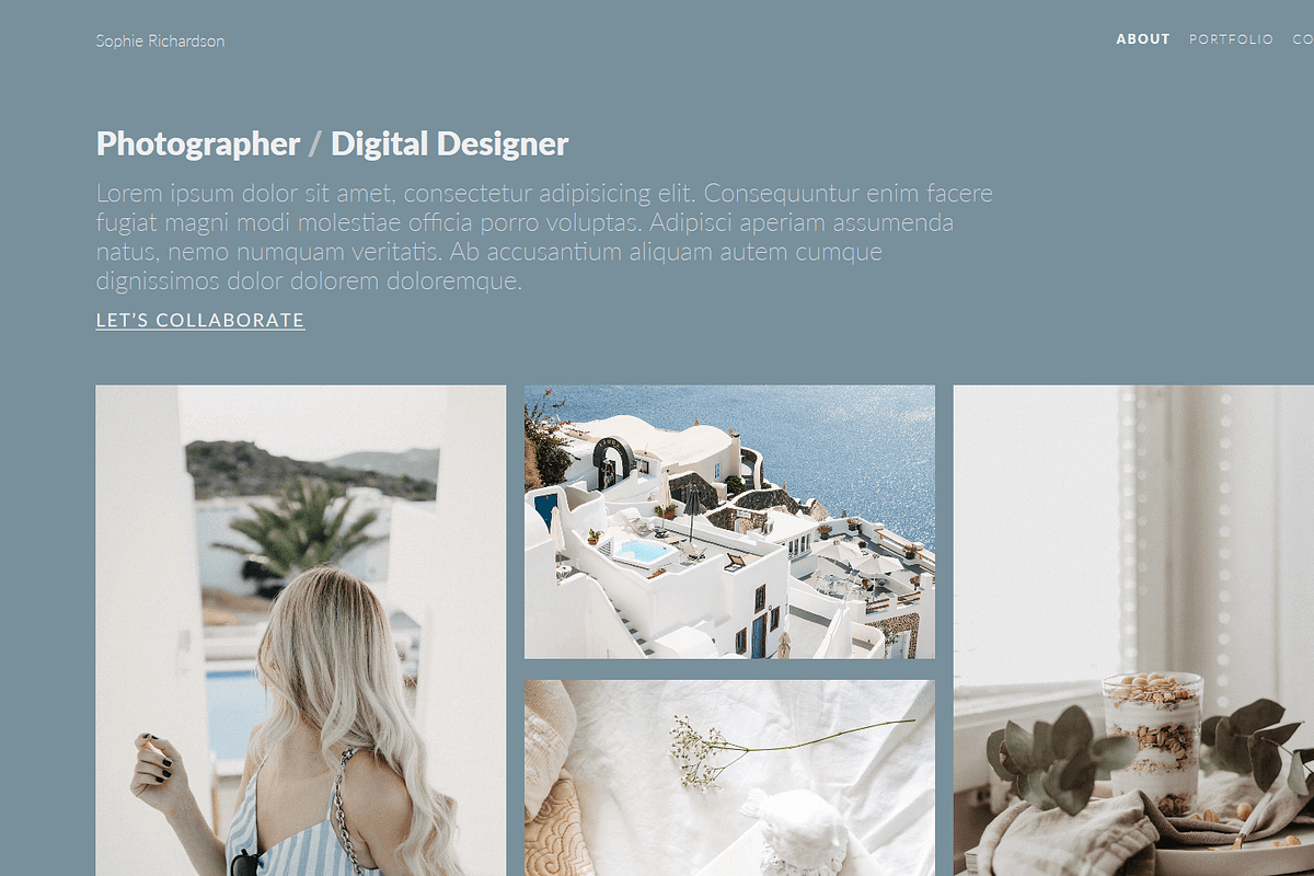 Sophie - Minimal Portfolio Theme, a HTML Template by AntonyChernianu (Photo 2 of 4)