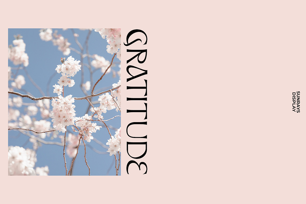Sunrays Display, a Serif Font by supfonts