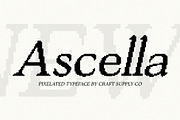 Ascella Pixel, a Serif Font by Craft Supply Co. (Thumbnail 1 of 8)