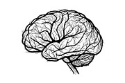 Brain Tree Knowledge Design Bundle, an Illustration by Gaye Art (Thumbnail 31 of 31)