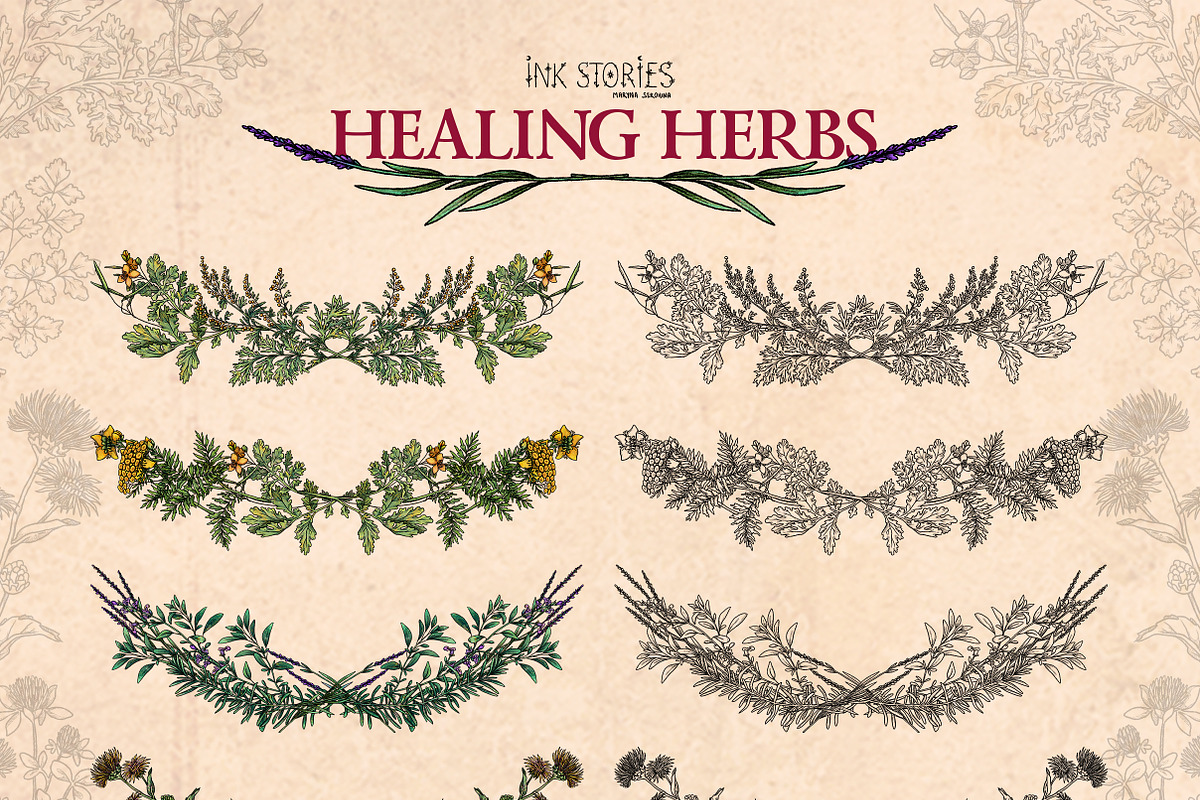 Healing Herbs * Botanical Bundle, a Healthcare Illustration by Ink Stories (Photo 12 of 13)